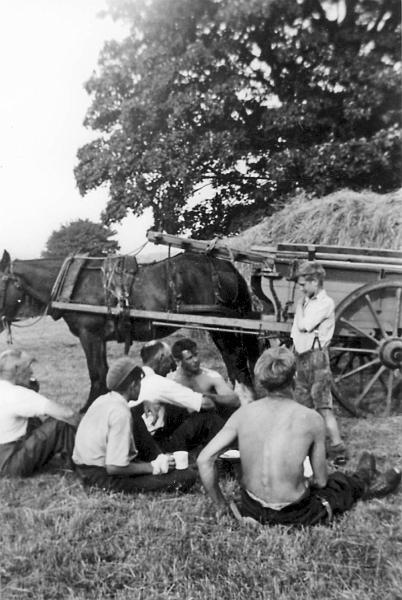 Harvest Lunch, with horse.JPG - Standing: Robert MellinSeated: Unknown - Irishman - Jack Mellin - Irishman - Edward Mellinc 1950's - The two Irishmen helped with the harvest.
